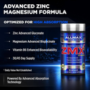 ZMX 2.webp
