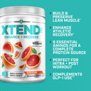 XTEND EAA 4.webp