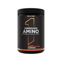 Rule 1 Proteins Energized Amino