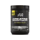 PLATINUM 100% CREATINE Monohydrate
